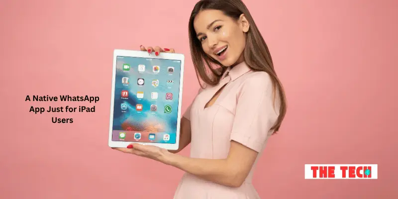 A Native WhatsApp App Just for iPad Users