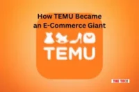 How TEMU Became an E-Commerce Giant