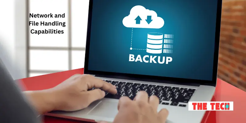 Network and File Handling Capabilities