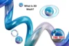 What is 3D Mesh? Forget Confusion and Start Creating with Confidence - Post Thumbnail